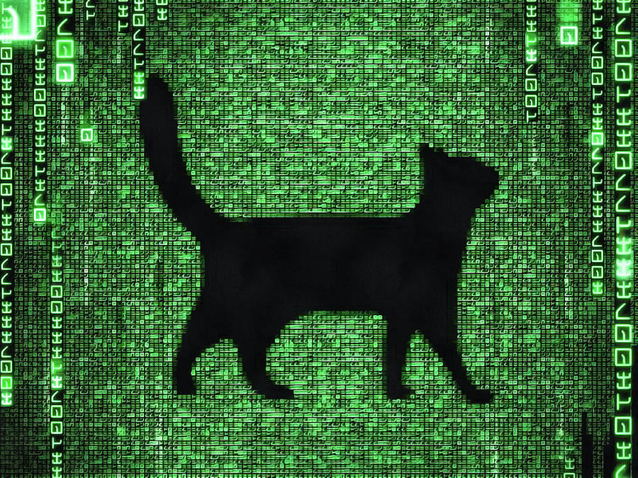 Wicicke | |ceNee TE ic |