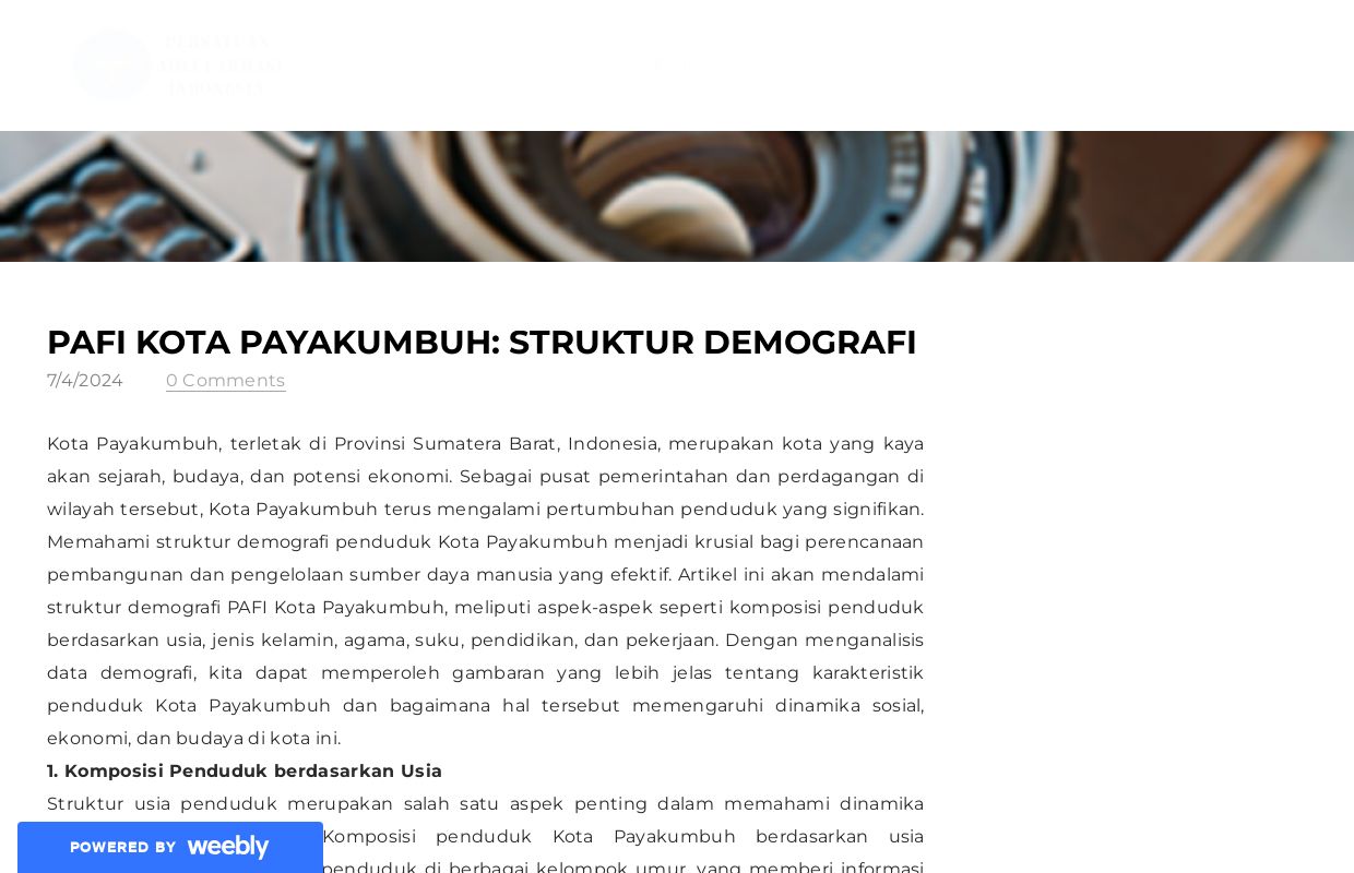 PAFI Kota Payakumbuh: Struktur Demografi - Blog