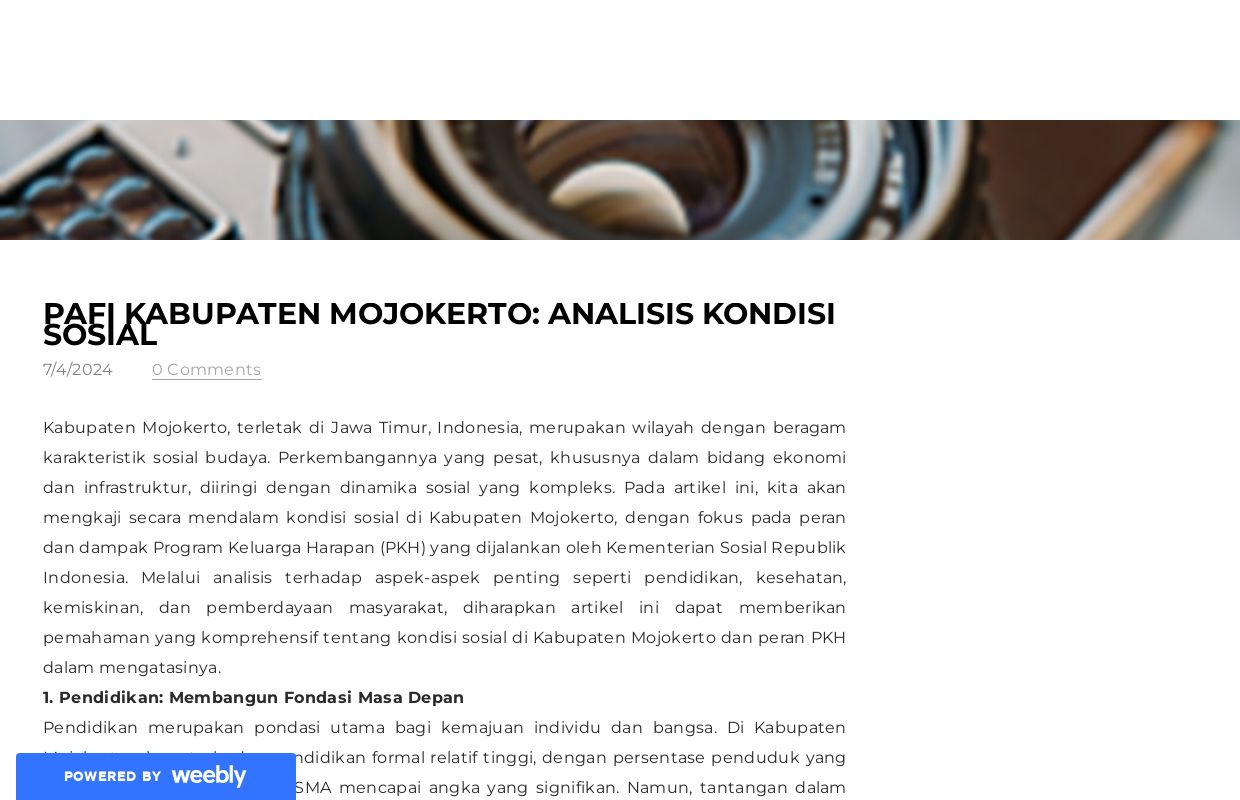 PAFI Kabupaten Mojokerto: Analisis Kondisi Sosial - Blog