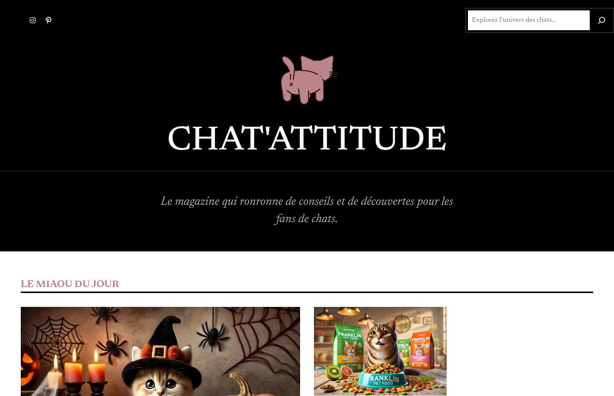 Chat'Attitude