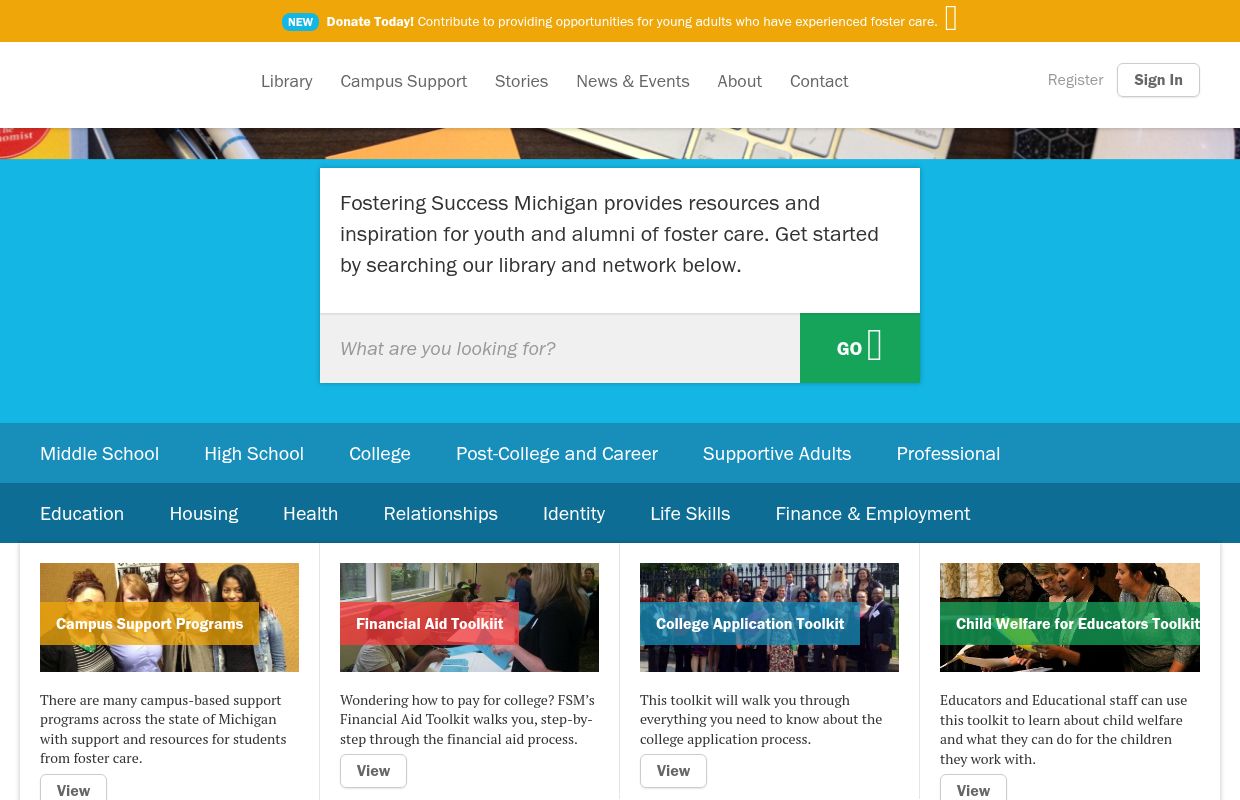 Fostering Success Michigan