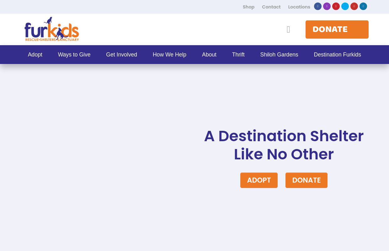 Atlanta's Largest No Kill Animal Shelter & Rescue | Dog & Cat Adoption | Furkids - Georgia’s Largest No Kill Animal Rescue & Shelters