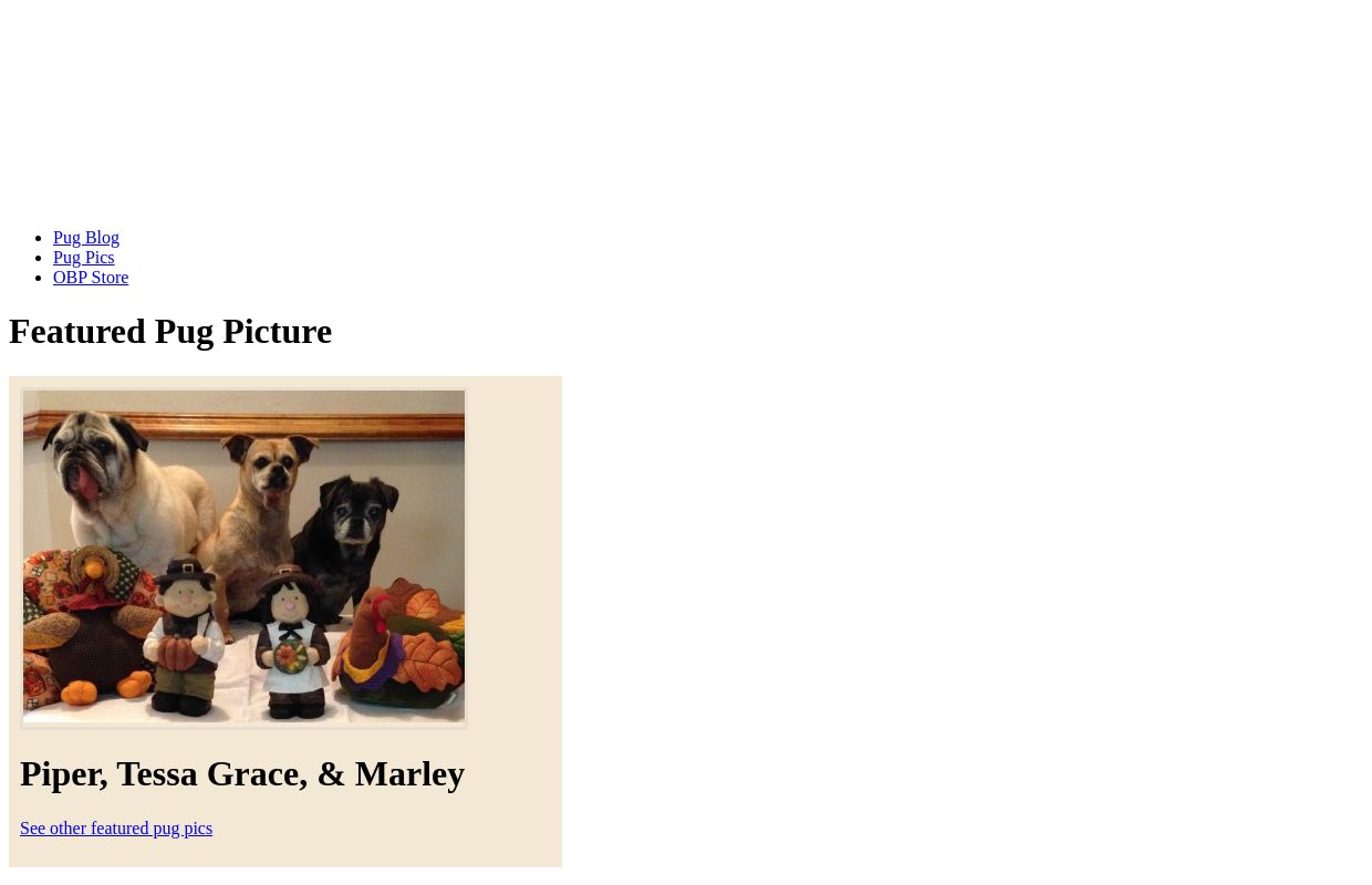 Owned By Pugs - An online community about pugs for pug lovers!