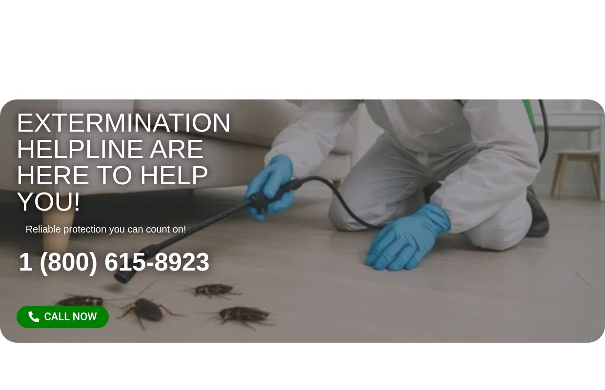 Home - Extermination Specialist