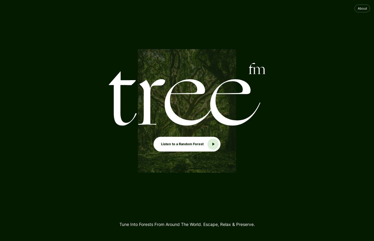 tree.fm – Tune Into Forests From Around The World 🌳🔈