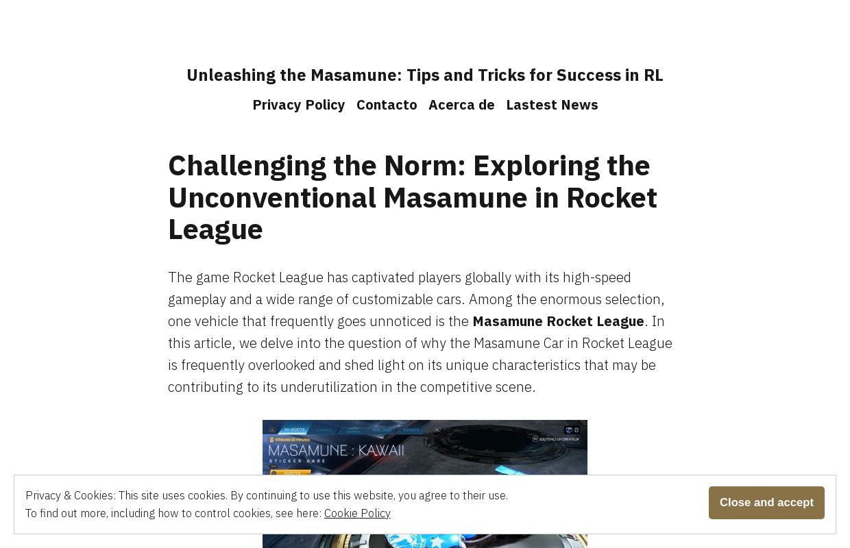 Unleashing the Masamune: Tips and Tricks for Success in RL