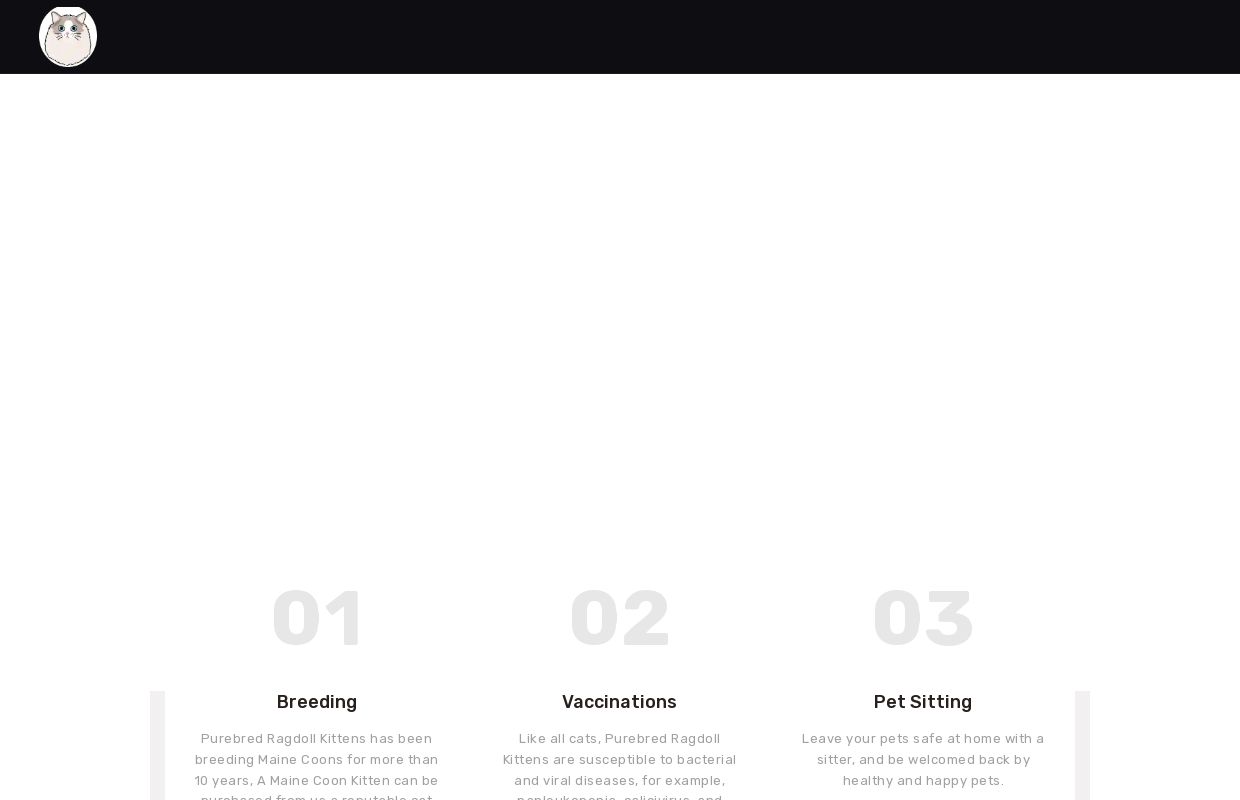 RagaMuffing Kitten for sale – RagaMuffing Kitten for sale near me