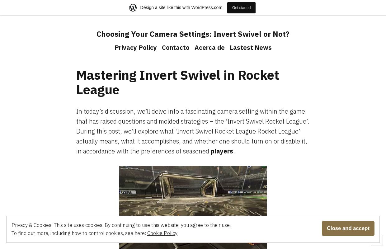 Choosing Your Camera Settings: Invert Swivel or Not?