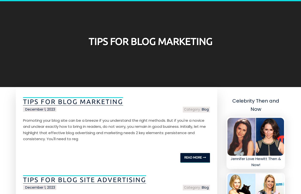 Tips For Blog Marketing - homepage
