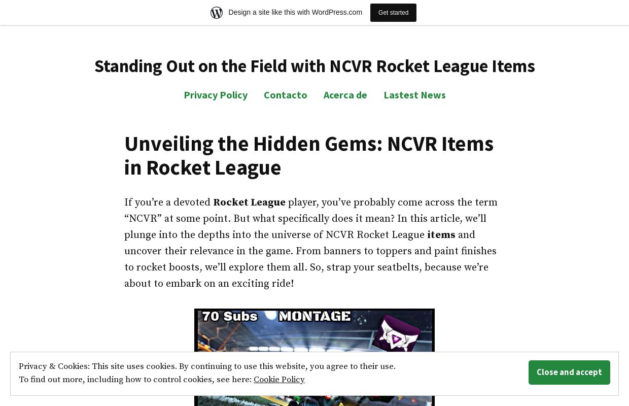 Standing Out on the Field with NCVR Rocket League Items