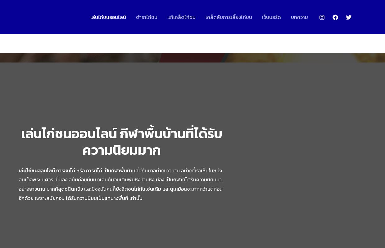 เล่นไก่ชนออนไลน์ กีฬาพื้นบ้านที่ได้รับความนิยมมาก จากอดีตจนปัจจุบัน