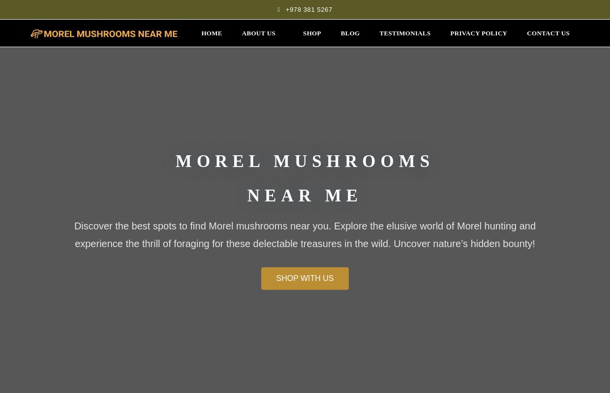 Home - MOREL MUSHROOMS NEAR ME