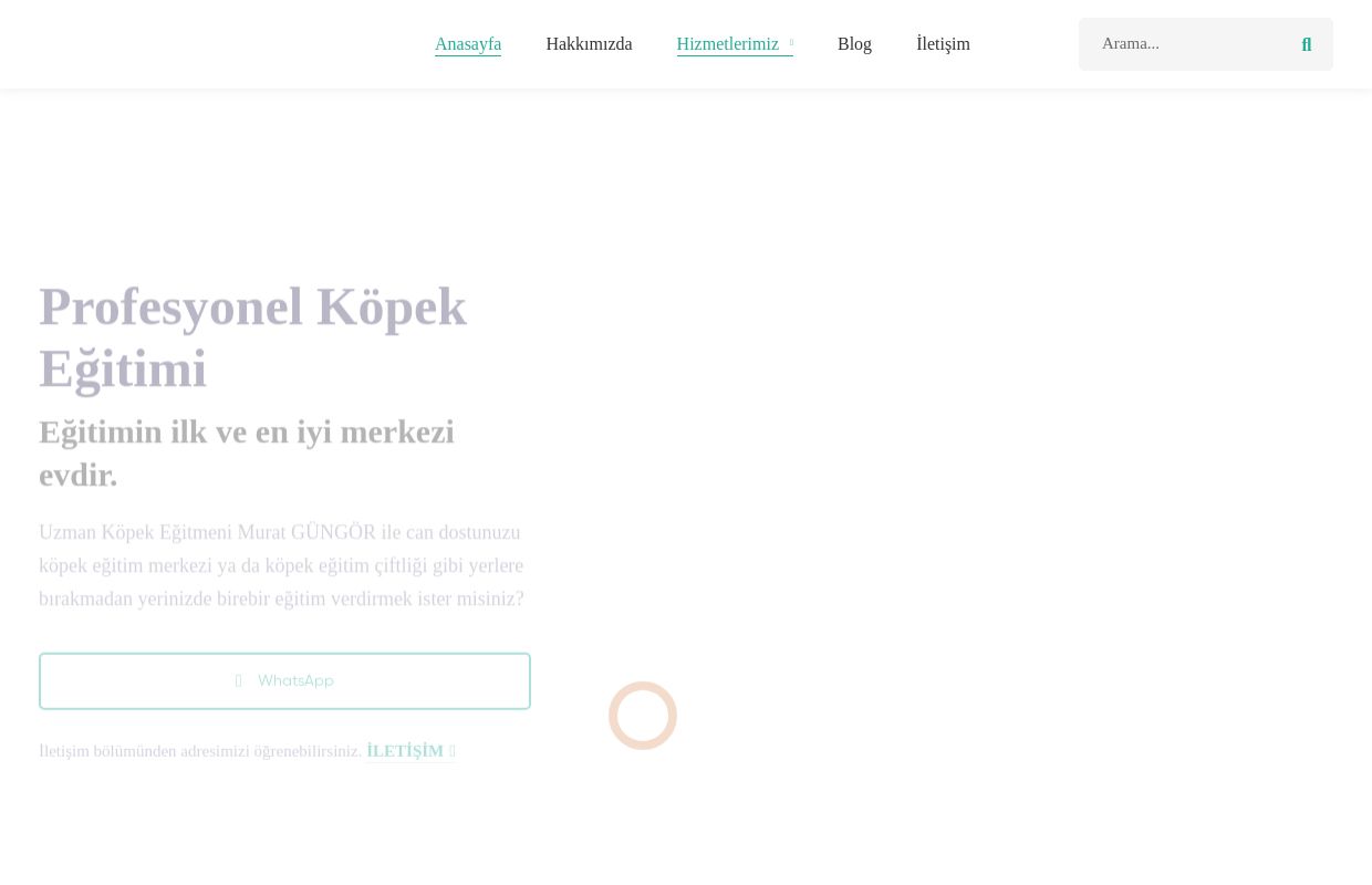 Köpek Eğitmeni Murat Güngör | Köpek Eğitimi Merkezi İstanbul