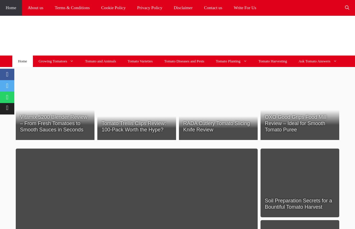 Home » Tomato Answers