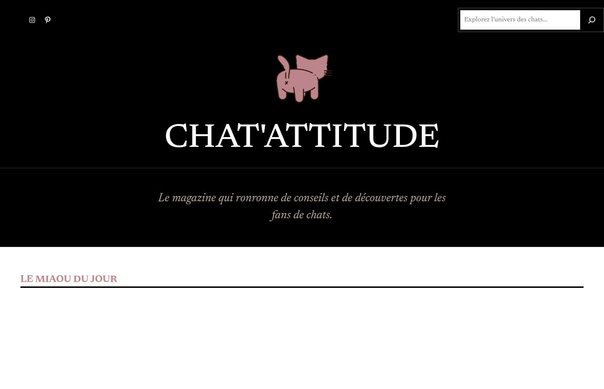 Chat'Attitude