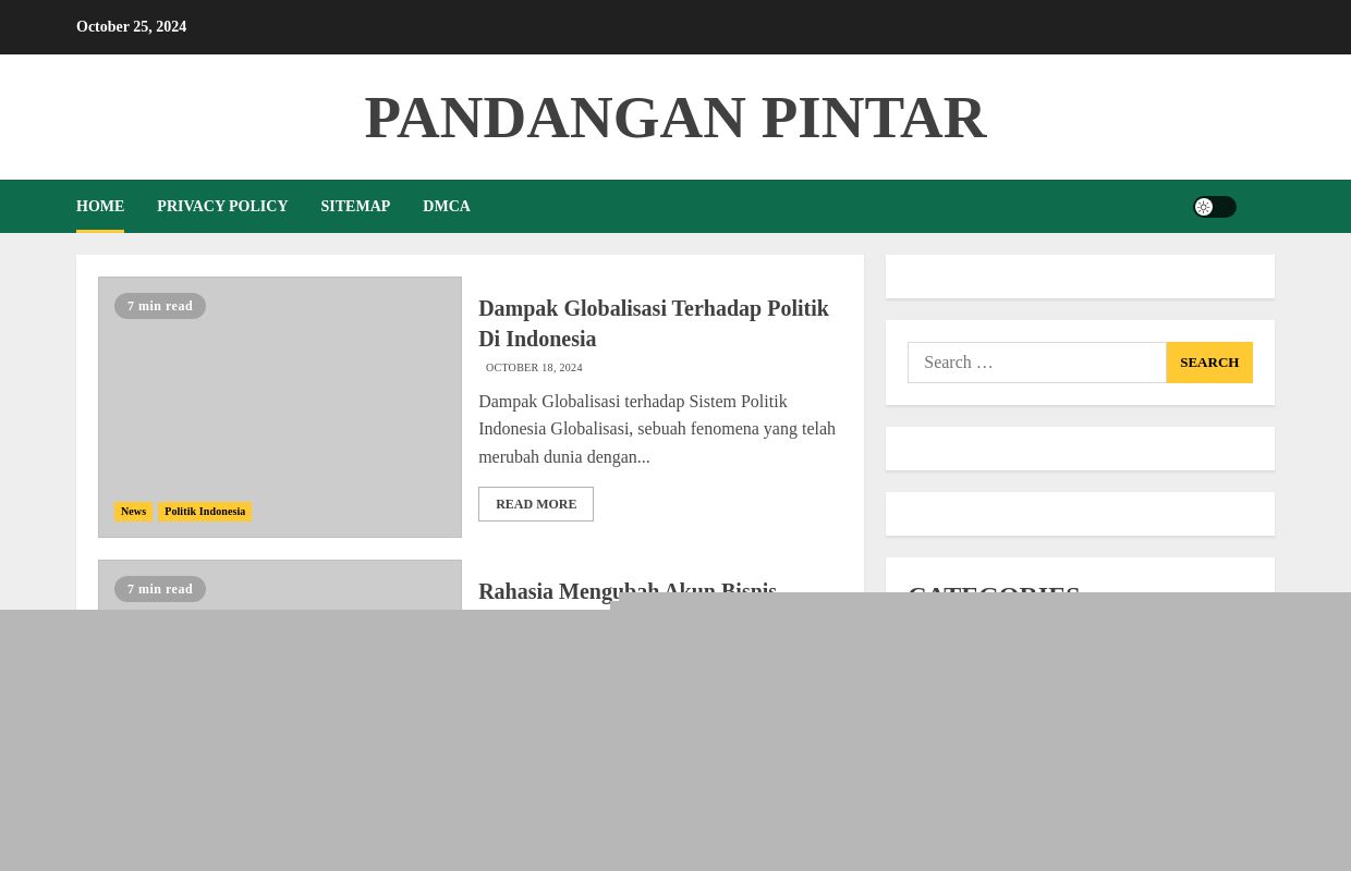 Pandangan pintar