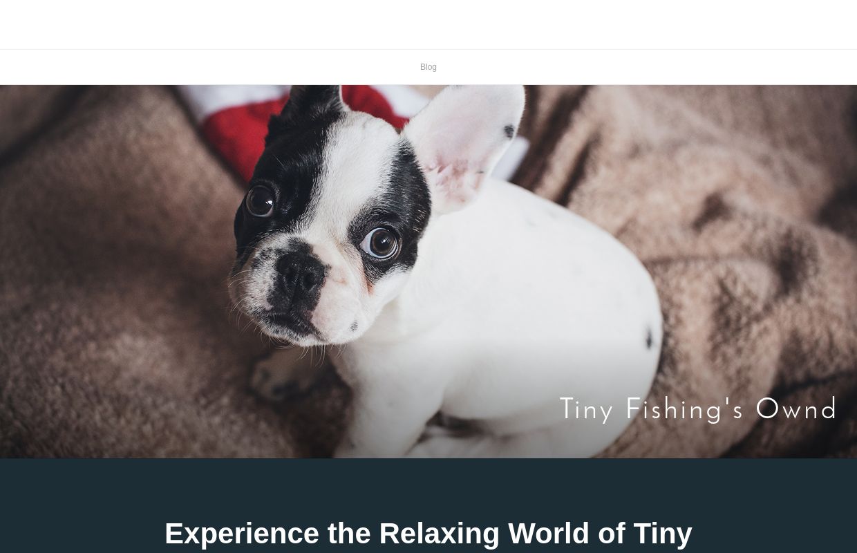 Tiny Fishing's Ownd