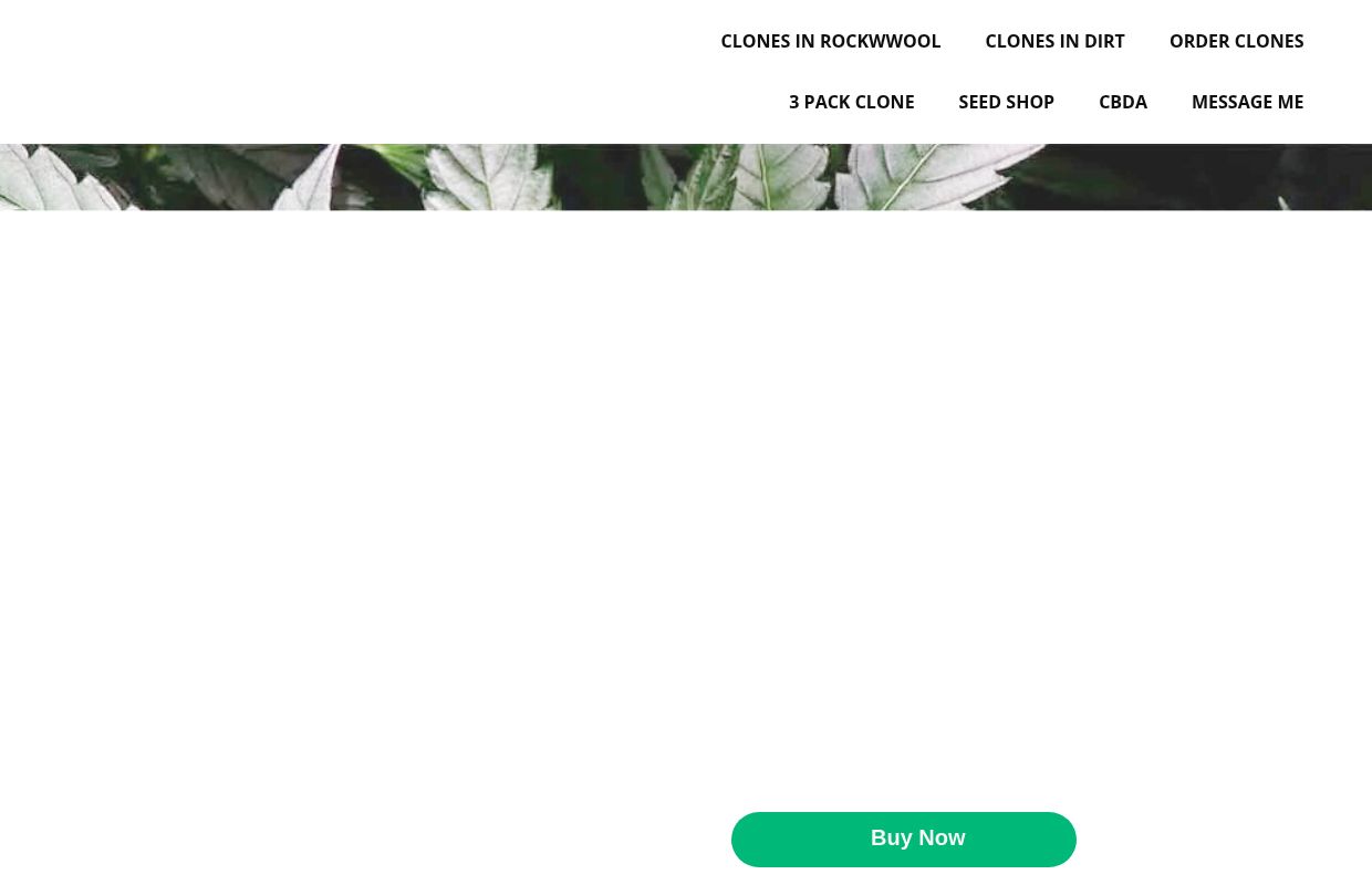 Marijuana Clones for Sale | Trusted Cannabis Genetics