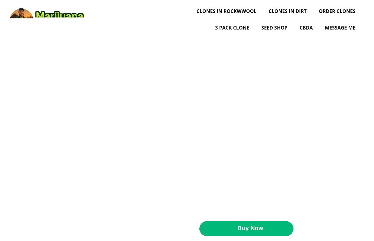Marijuana Clones for Sale | Trusted Cannabis Genetics