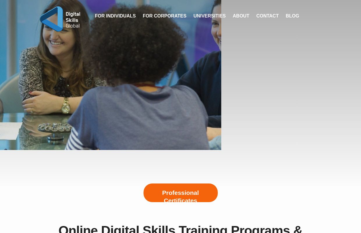 Online Digital Skills Training Programs & Courses for Professionals - Digital Skills Global