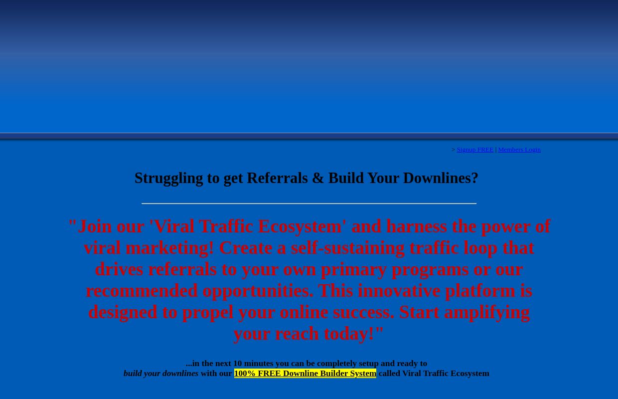 Viral Traffic Ecosystem