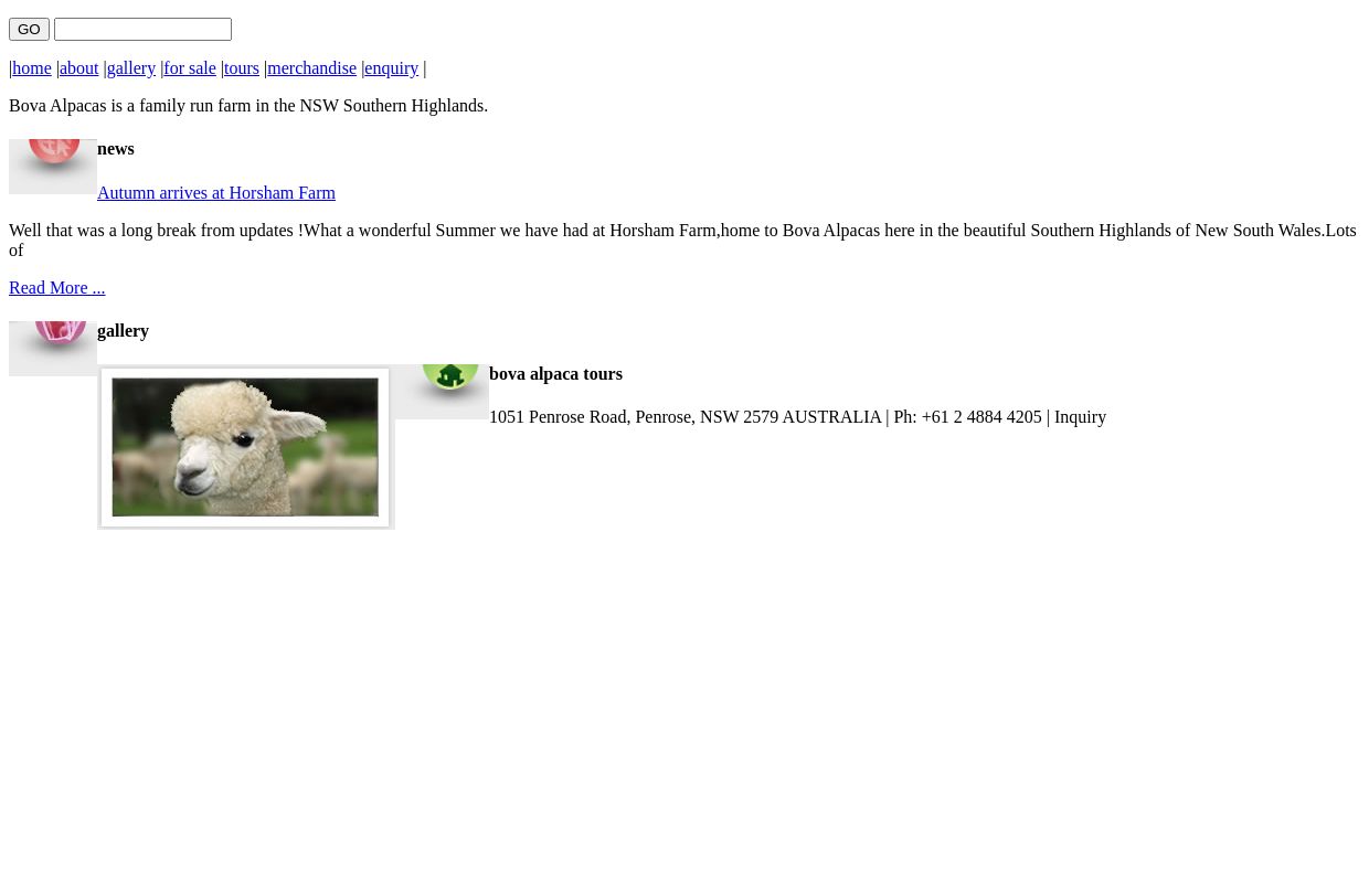 :: BOVA ALPACA :: HOME