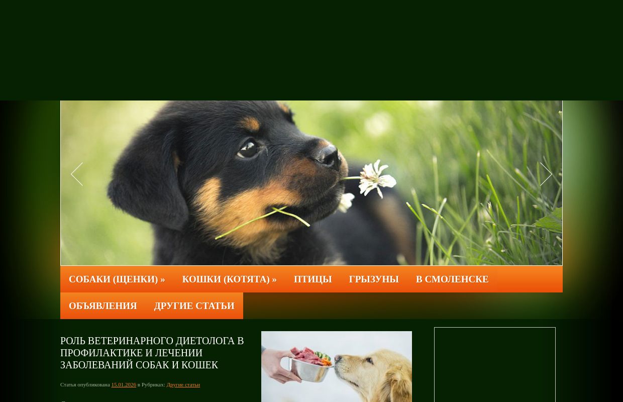 О животных города Смоленска