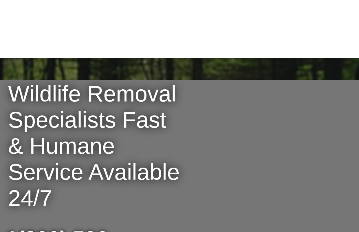 The Wild Life Control