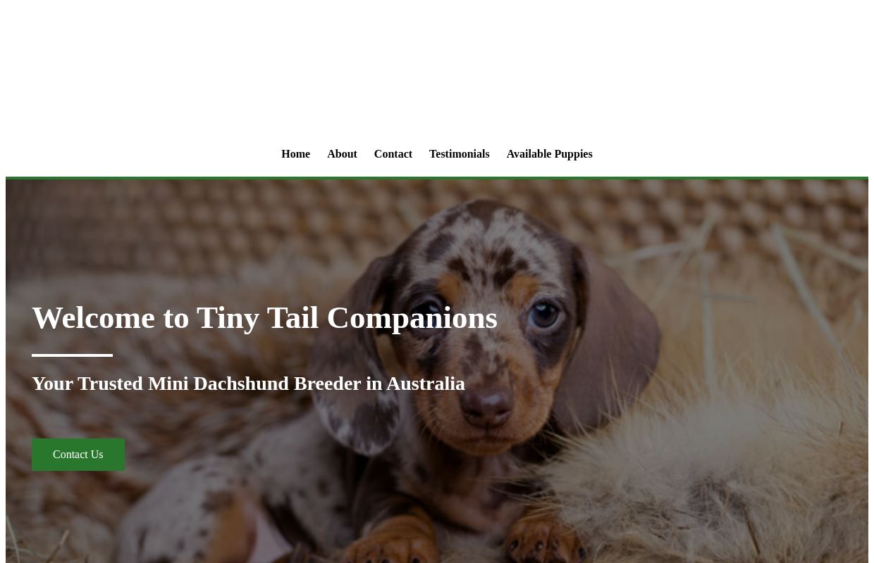 Home - Tiny Tail Companions