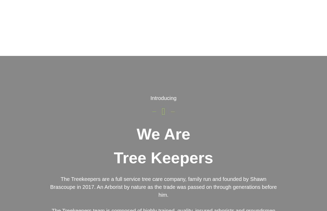 Tree Cutting & Pruning Services | Montreal Experts