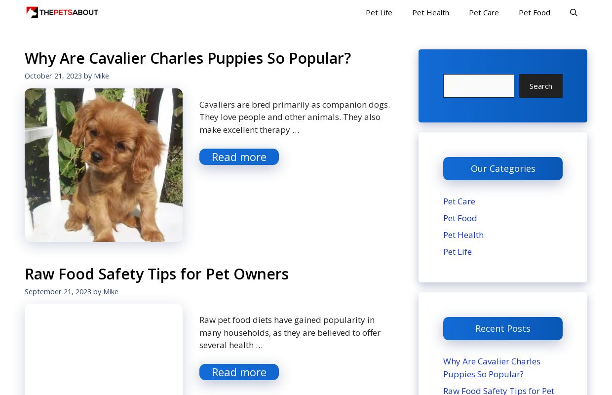 ThePetsAbout - Helping passionate pet owners worldwide
