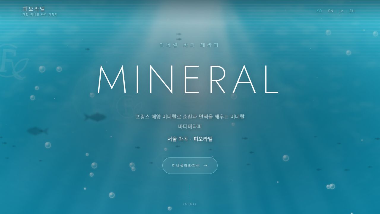 미네랄테라피 · 미네랄바디테라피 | 서울 마곡 미네랄바디스파 — 피오라엘