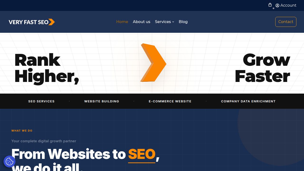 Home - Very Fast SEO