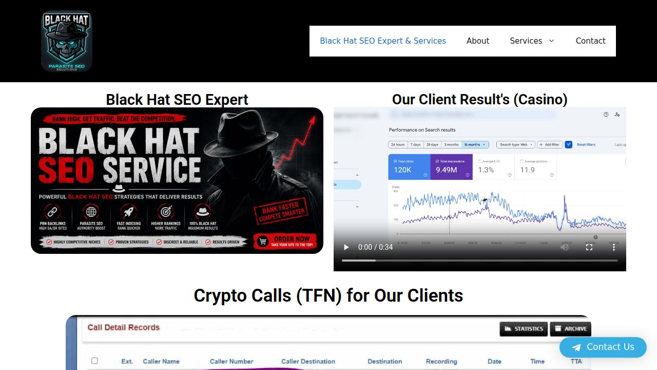 Black Hat SEO Expert & Services - BlackHatParasiteSeo