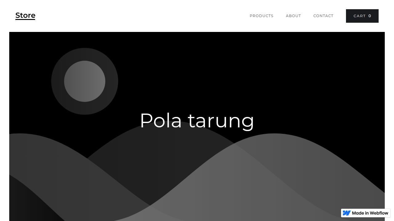 Store - Webflow Ecommerce website template