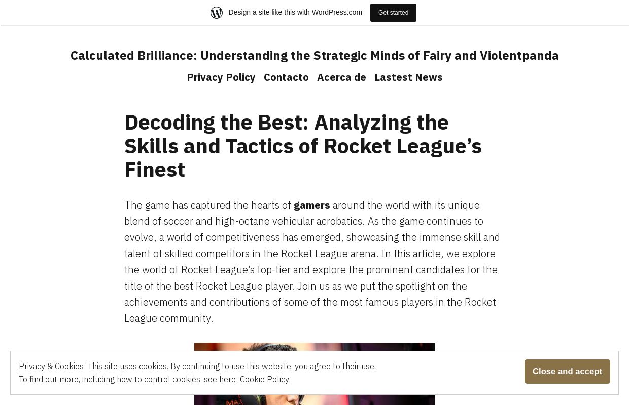 Calculated Brilliance: Understanding the Strategic Minds of Fairy and Violentpanda