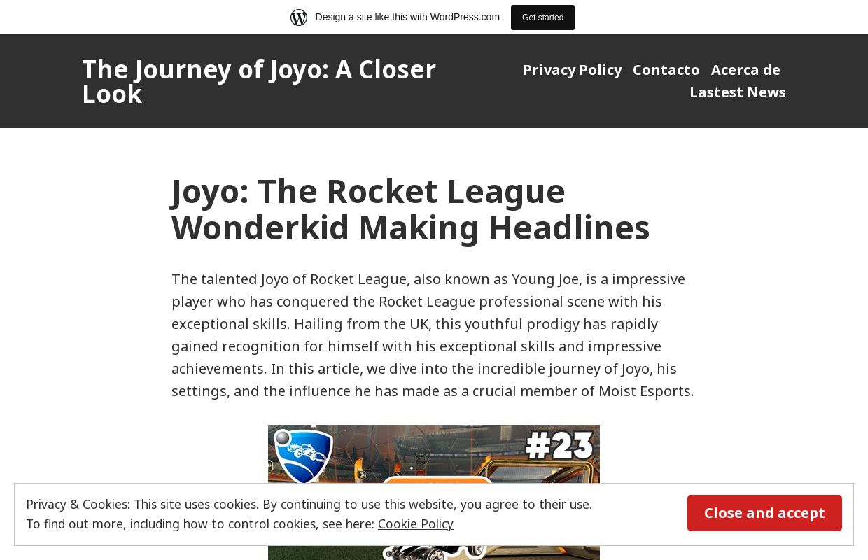 The Journey of Joyo: A Closer Look