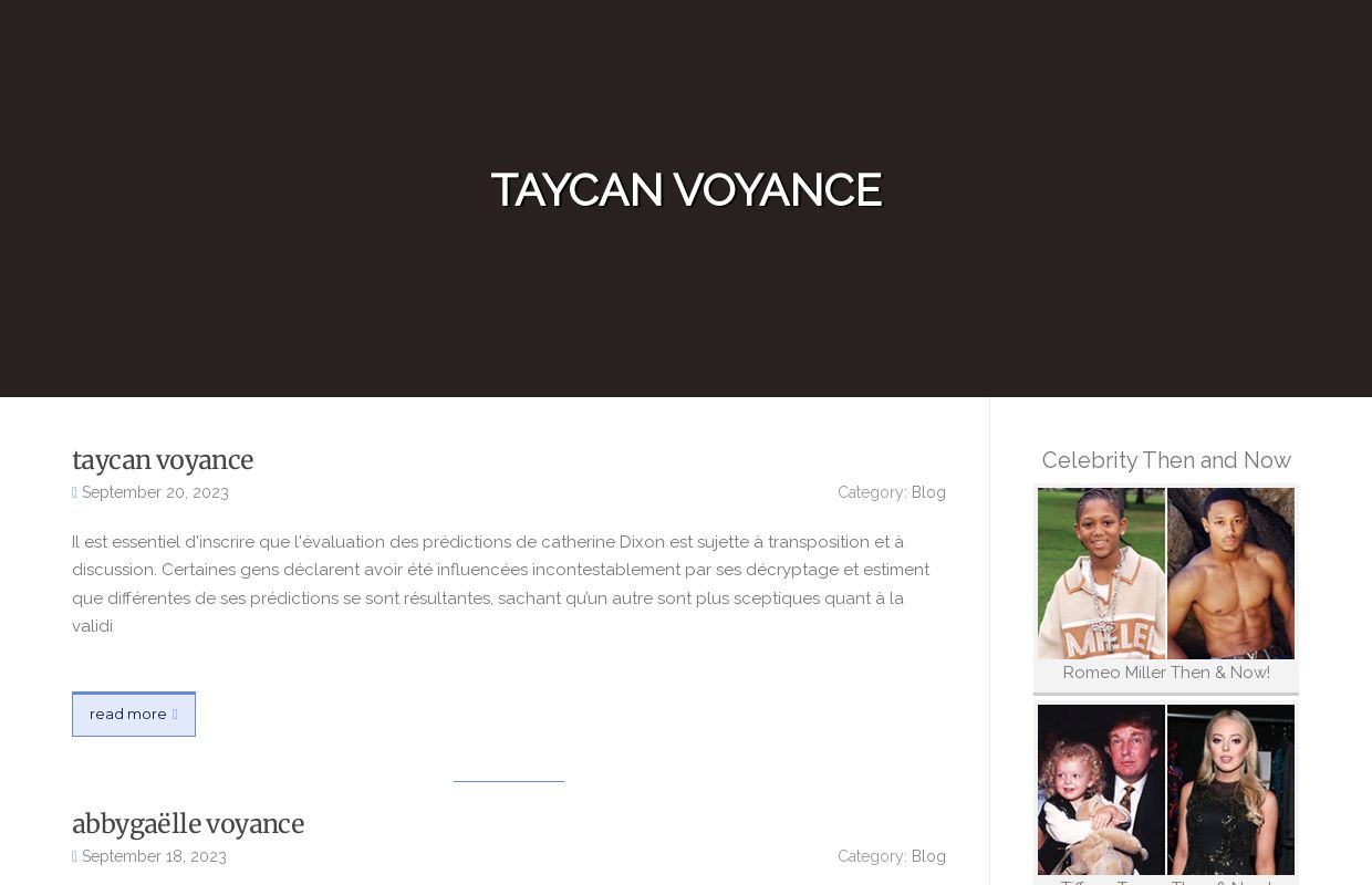 taycan voyance - homepage