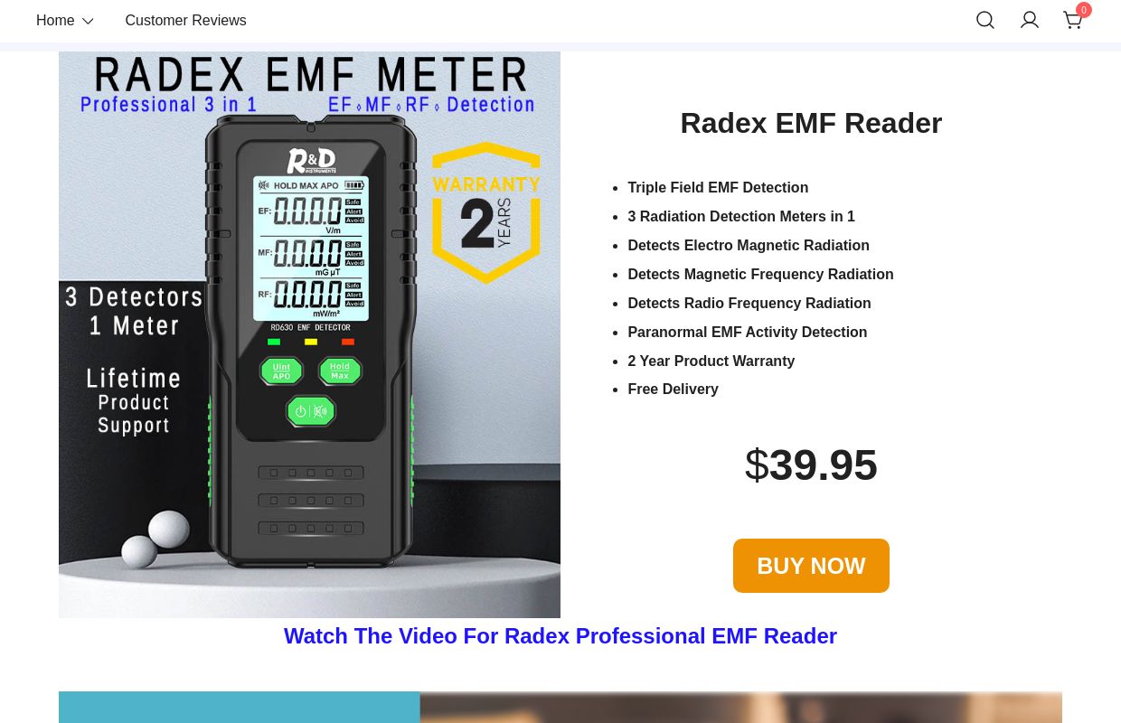 Radex Professional EMF Reader