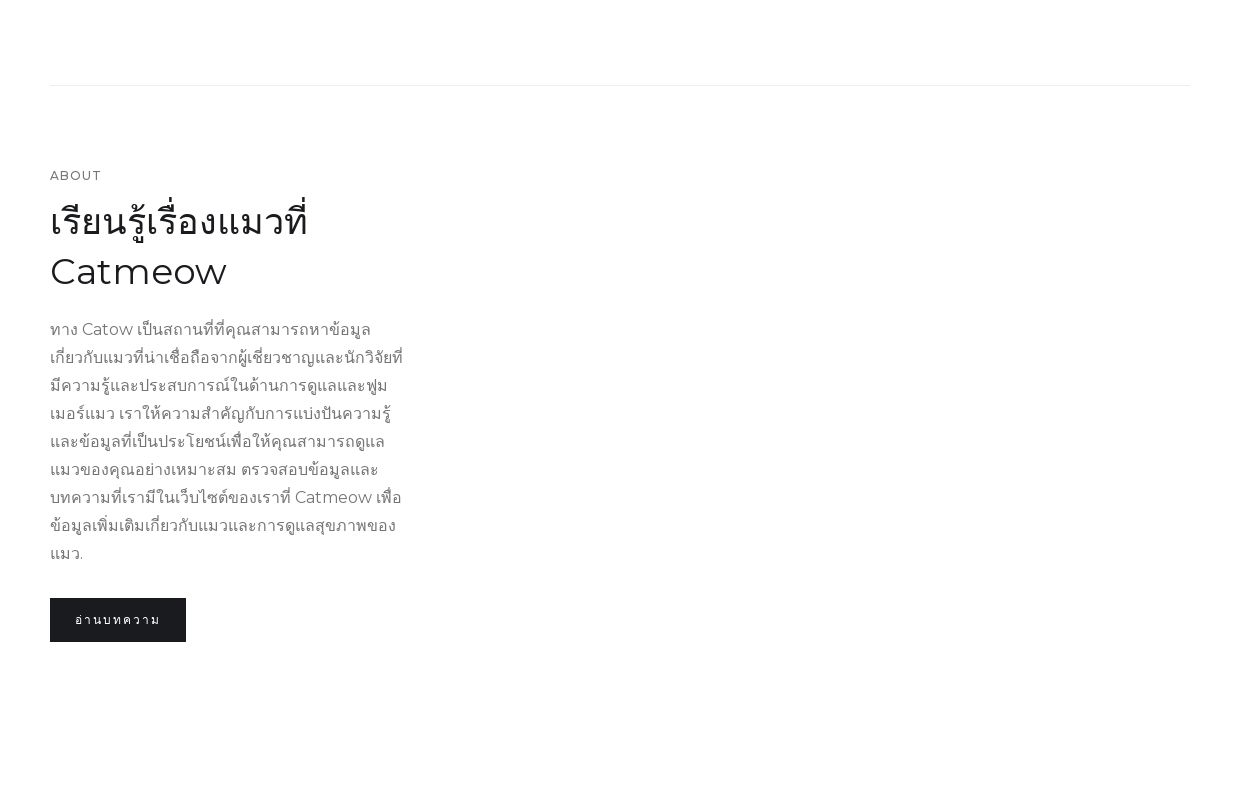 Business - Webflow HTML website template
