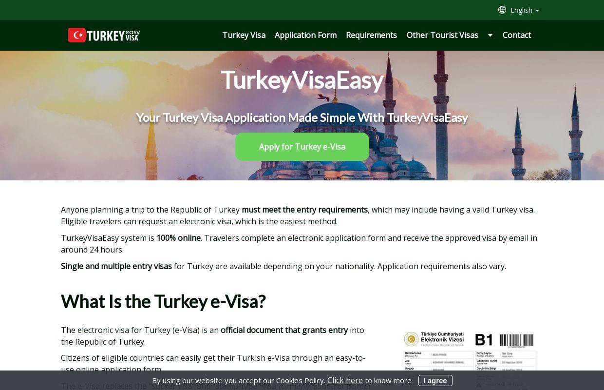 TurkeyVisaEasy: Obtain your Electronic Visa for Turkey