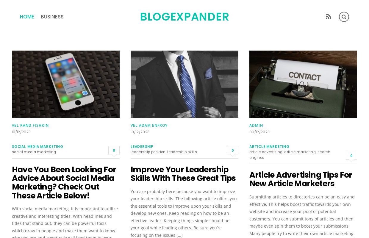 BLOGEXPANDER – Develop your blog like a startup, not a writer