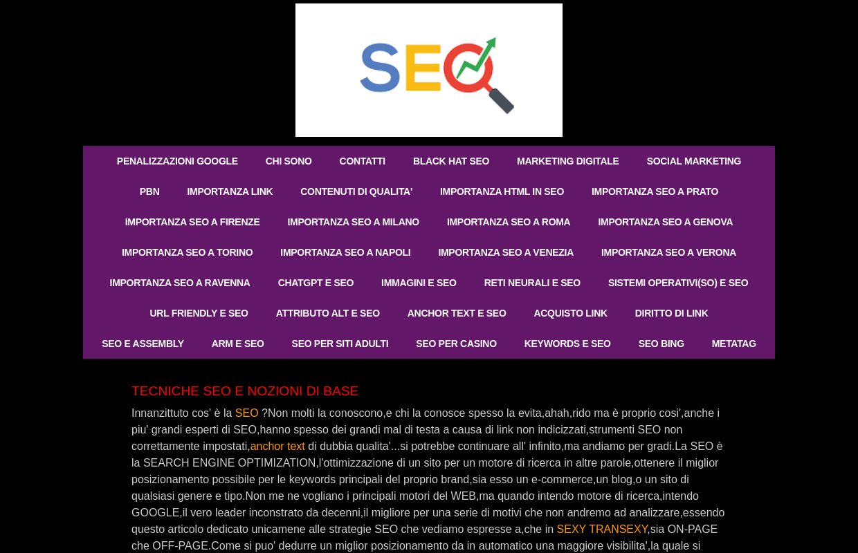 Seo e tecniche SEO|Ottimizzazione GOOGLE 