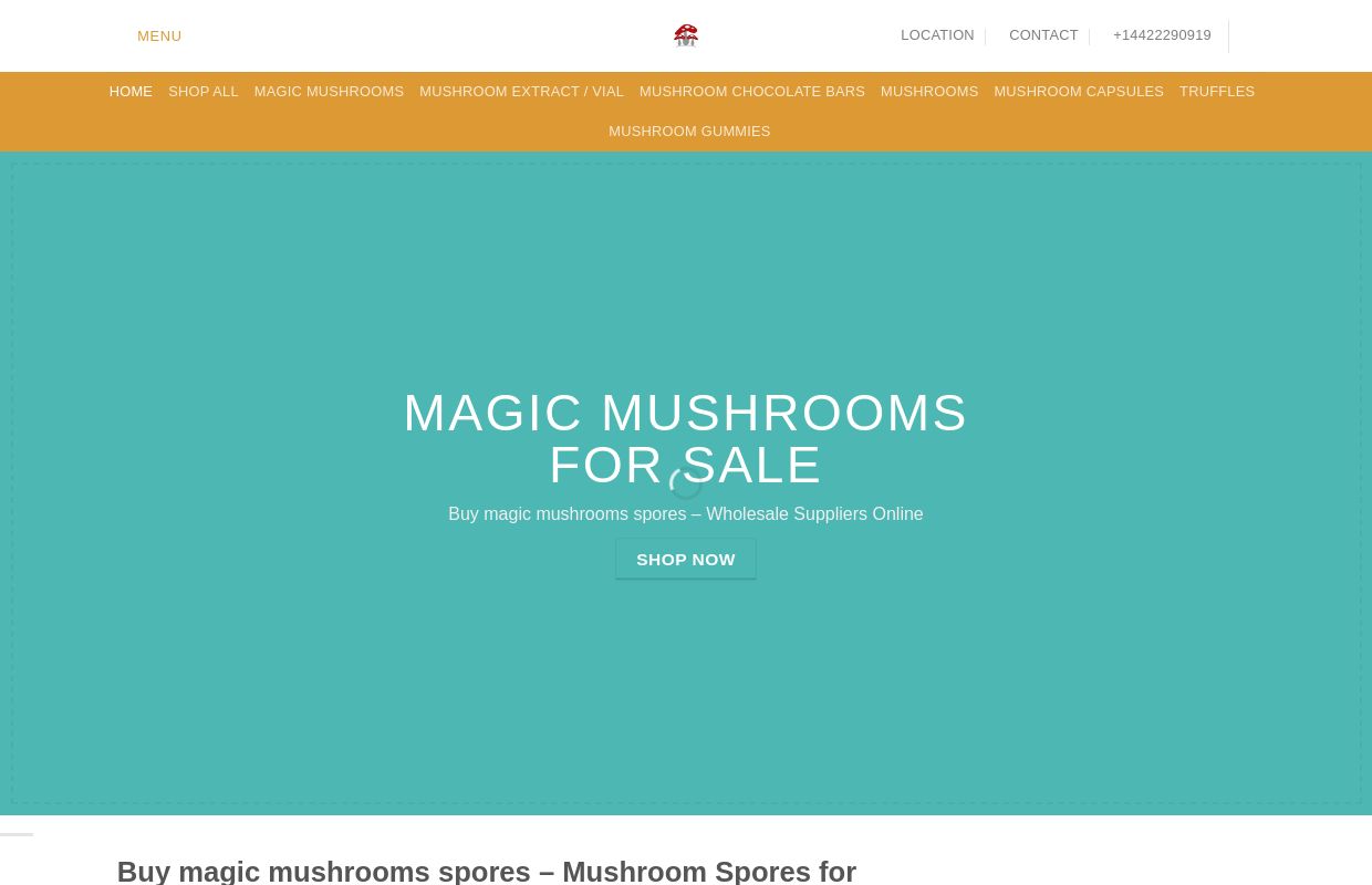 Buy magic mushrooms spores - magic mushrooms for sale