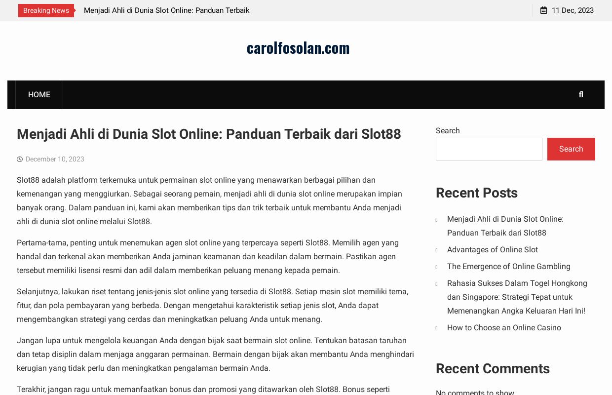 carolfosolan.com -