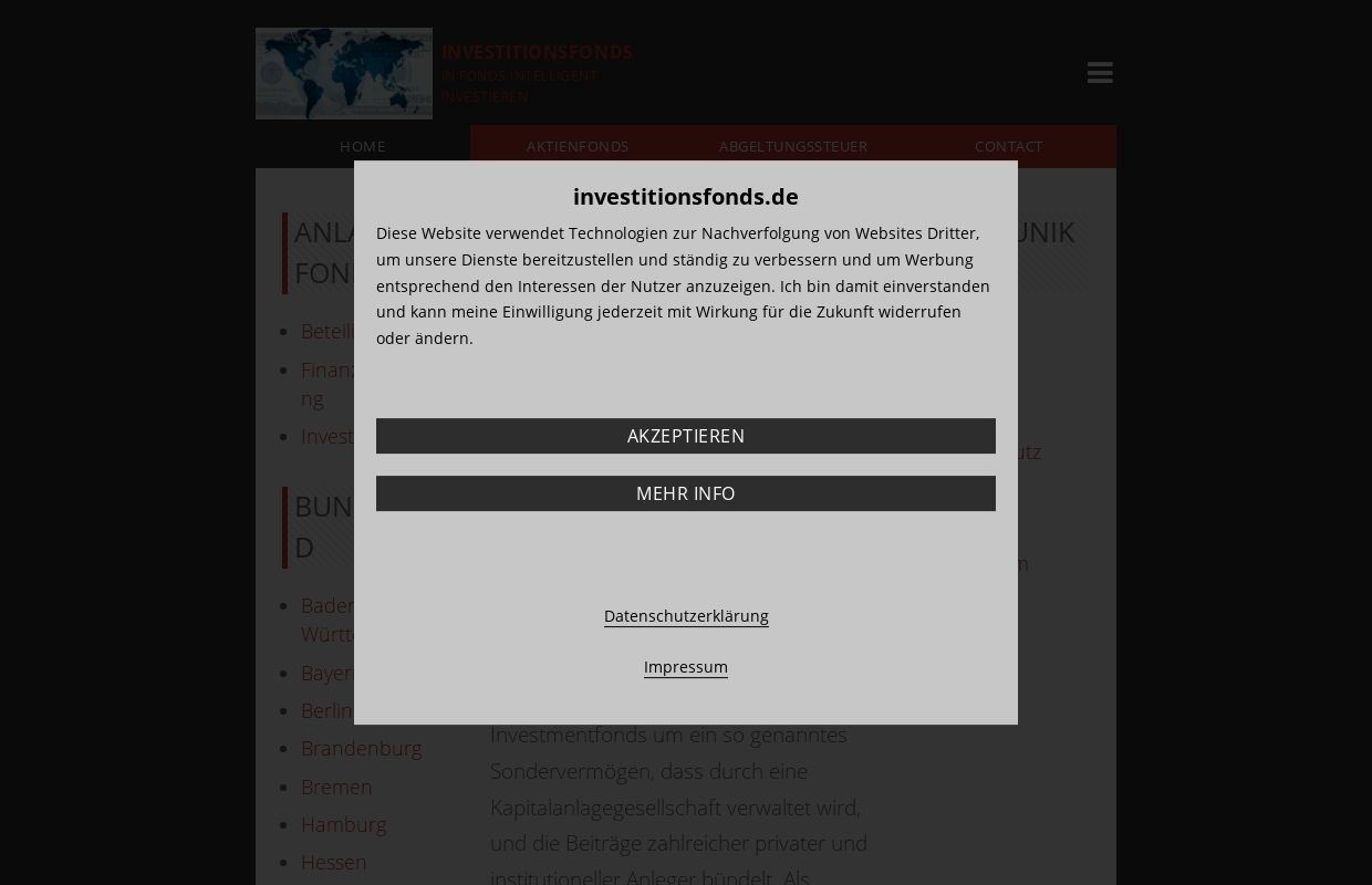 Investmentfonds | Investitionsfonds