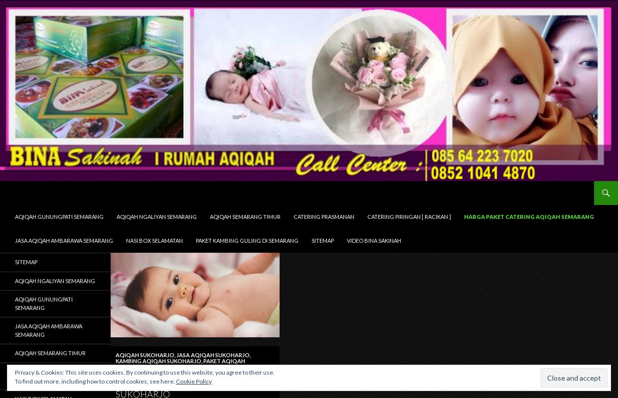 RUMAH AQIQAH SEMARANG, GRAHA AQIQAH SEMARANG, PONDOK AQIQAH SEMARANG, JASA DAN LAYANAN AQIQAH DI SEMARANG, HARGA JUAL KAMBING AQIQAH SEMARANG, |  Pusat Layanan Aqiqah dan Catering di Semarang, Graha Aqiqah, Aqiqah Murah di Semarang
