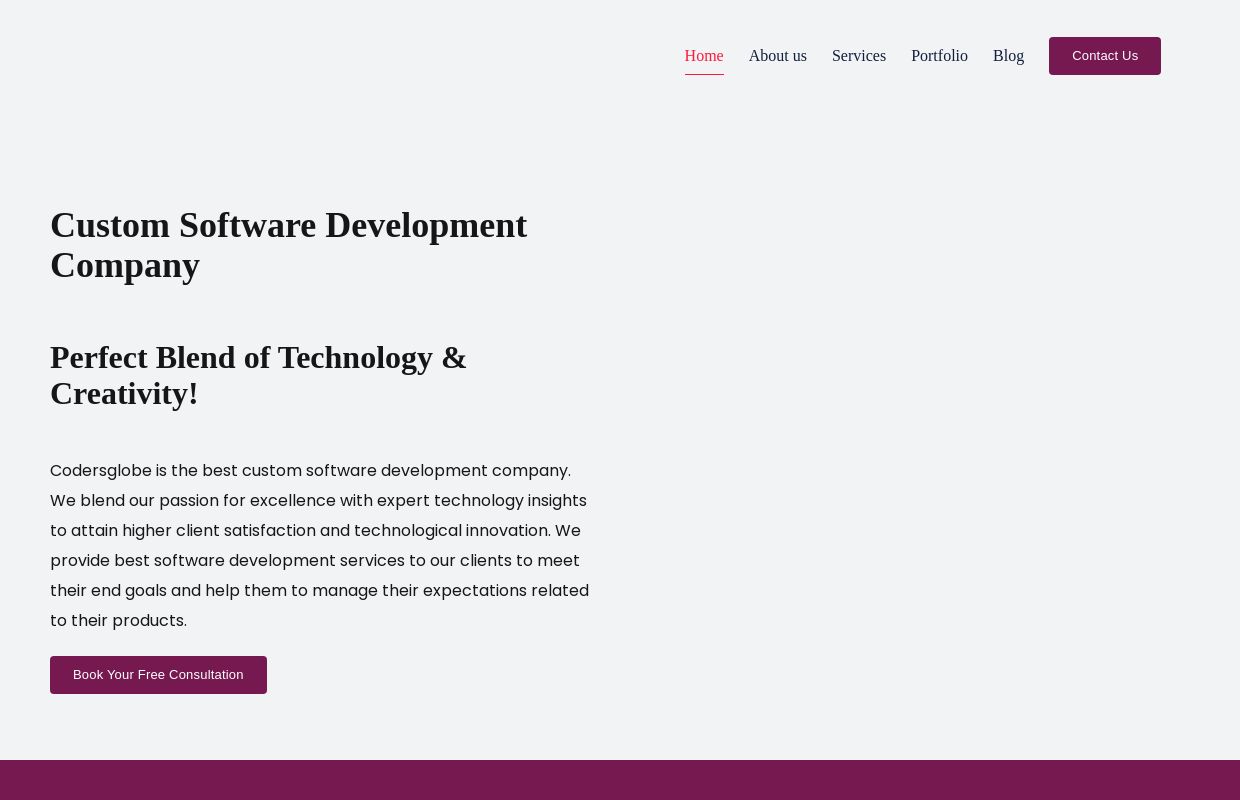 Custom Software Development Company - CodersGlobe