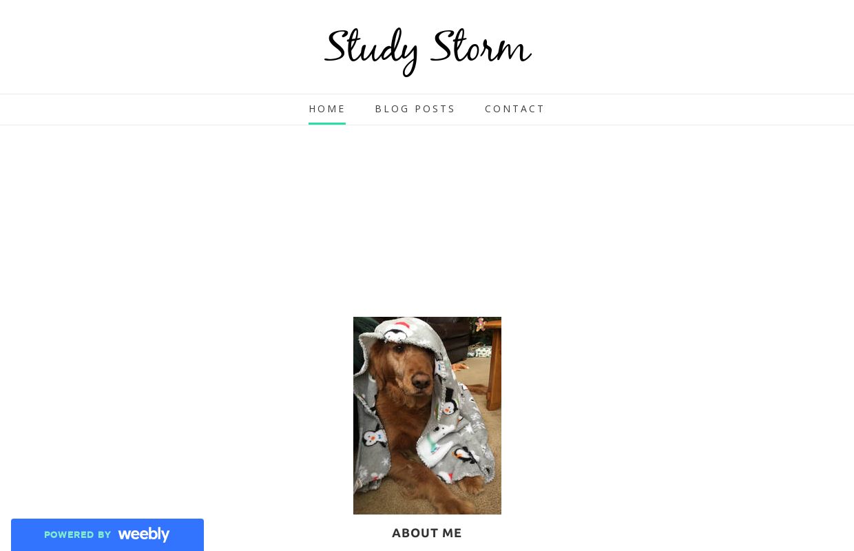 Study Storm - Home