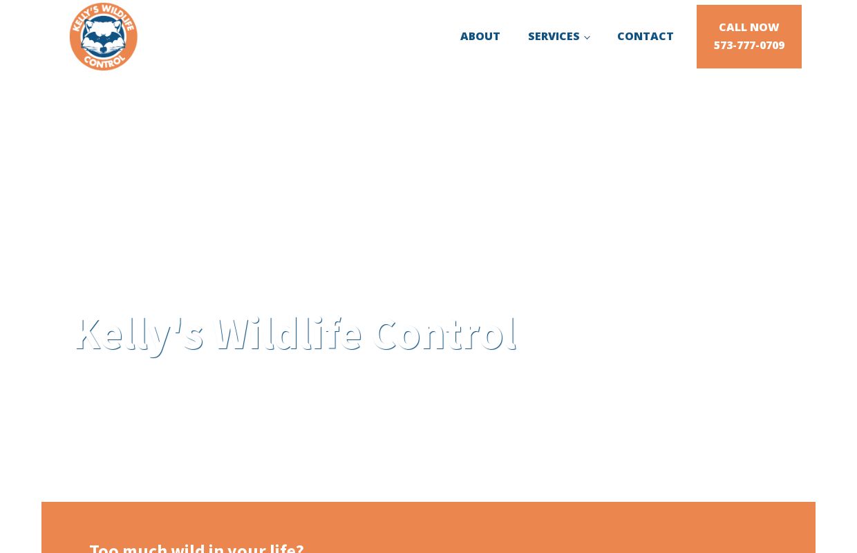 Kelly's Wildlife Control 